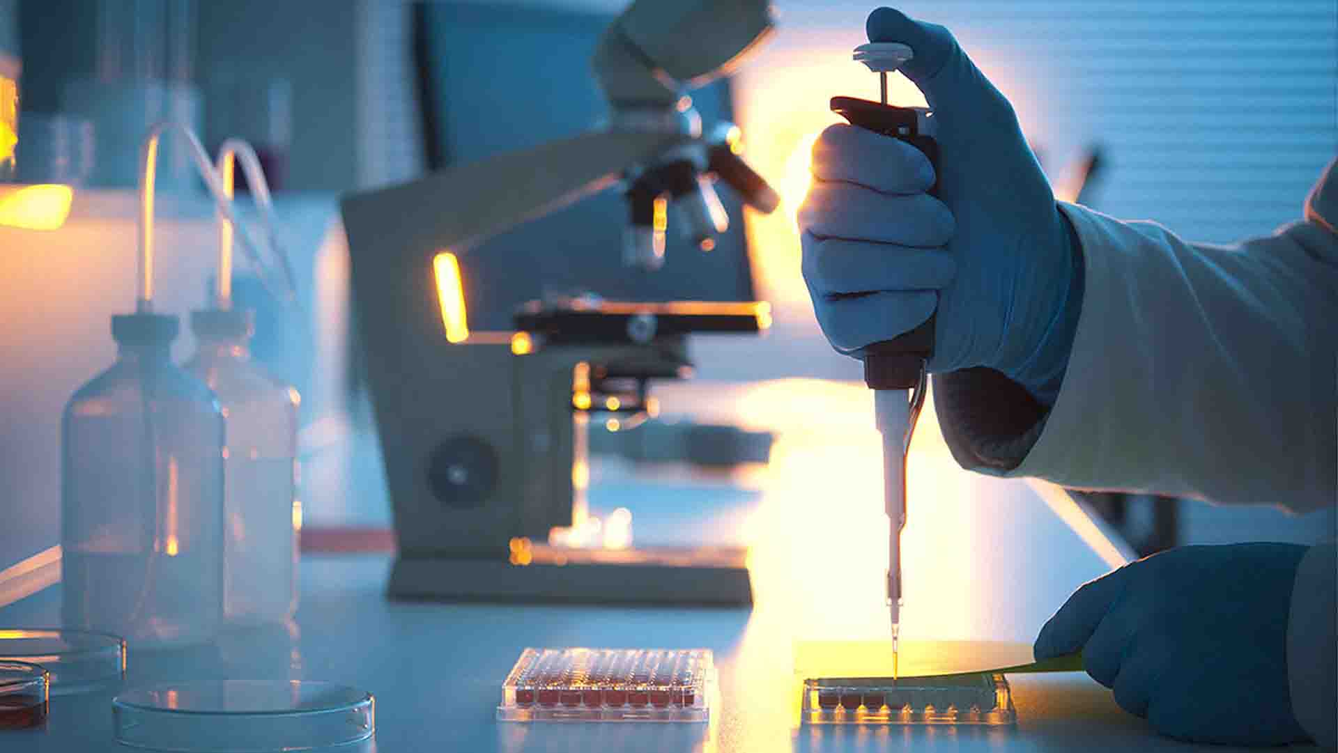 स्टेम सेल की संख्या में वृद्धि